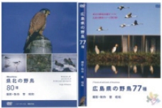 広島県北の野鳥80種・77種