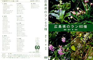 広島県のラン60種